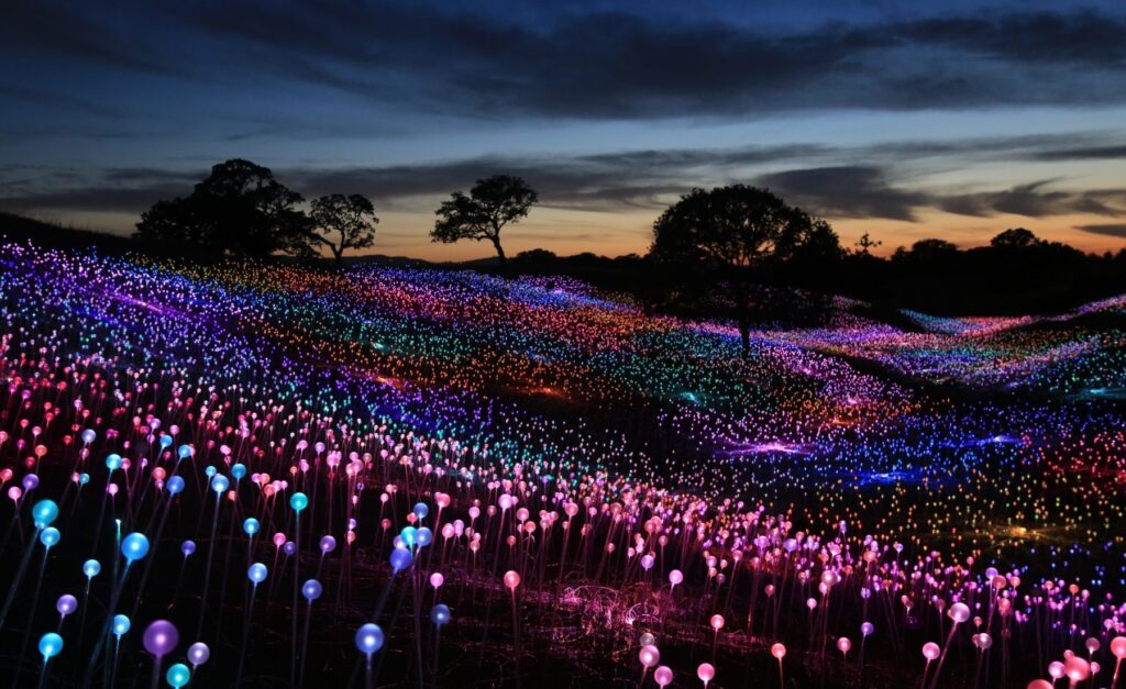 Instalacja w formie łąki wykonanej kilkudziesięciu tysięcy kul LED
